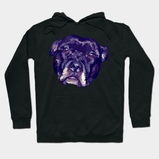 Does she look dangerous? Hoodie